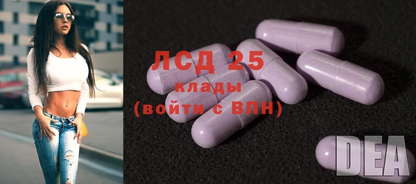 метадон Ельня