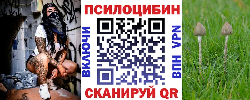 Купить Топки Псилоцибиновые грибы Psilocybine cubensis